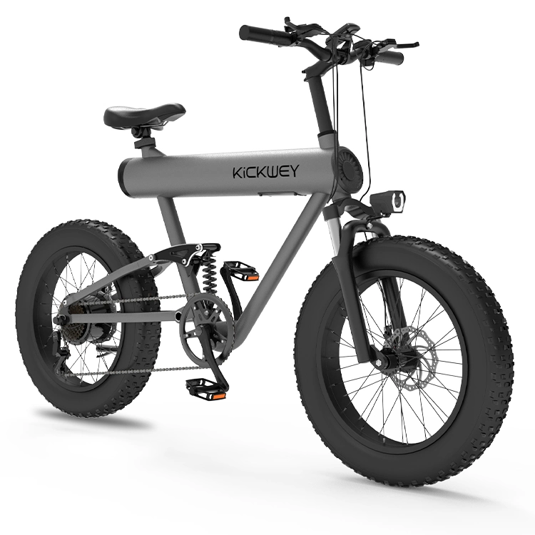 Fast Fat Tire off Road Electric Dirt Bike Mountain City Ebike