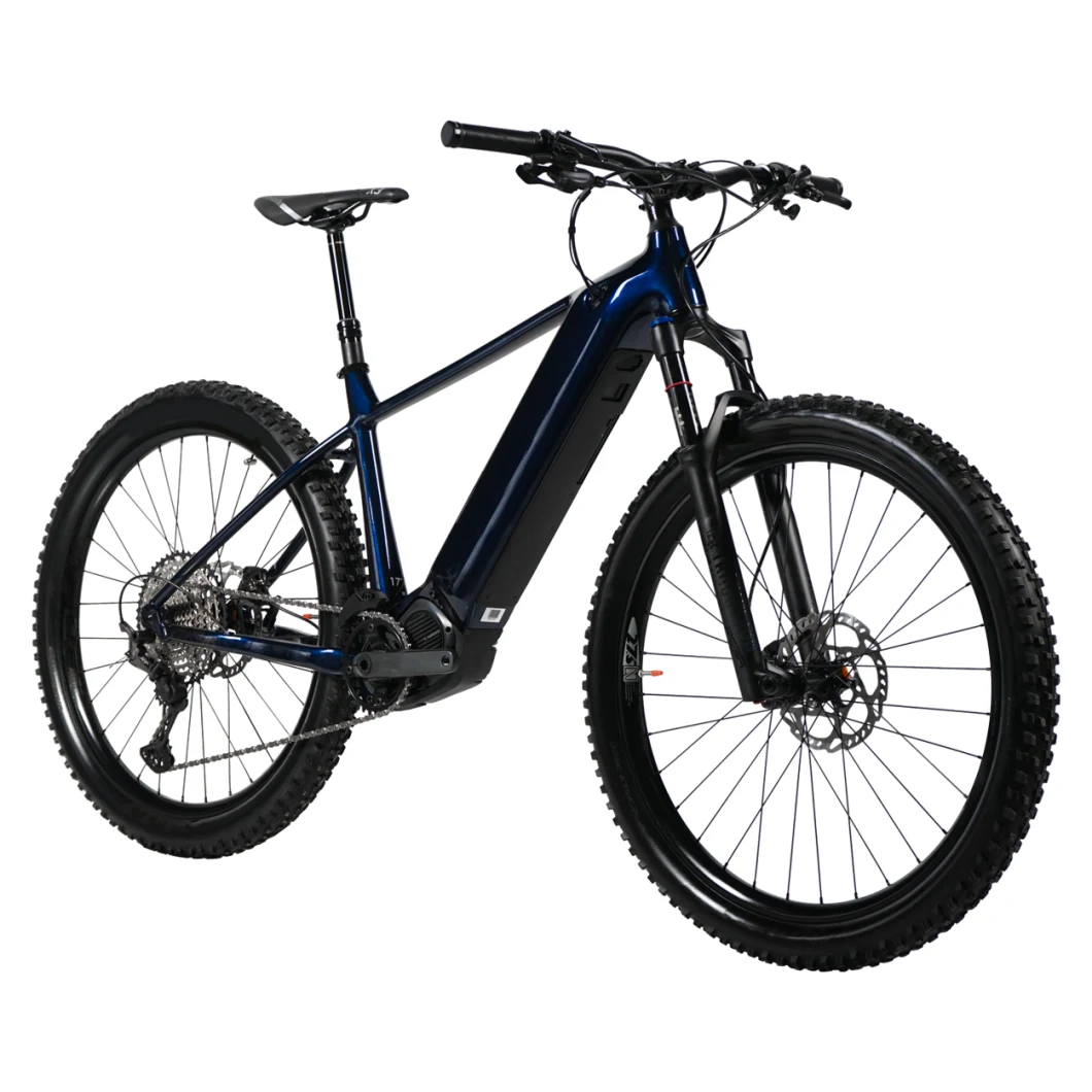 OEM/ODM 48V 36V 350W/500W750W/1000W Fat Tires Tour/Urban/City/Commute/Mini/Mountain/MTB/Dirt /Cargo Foldable/Unfoldable Hybrid Aluminium Frame Ebike