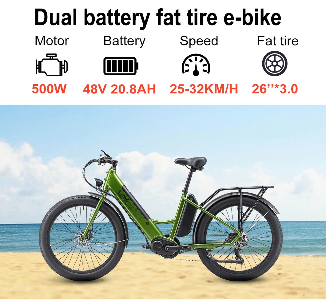 Color Customized 500W Dual Battery Fat Tire Electric Mountain Bike