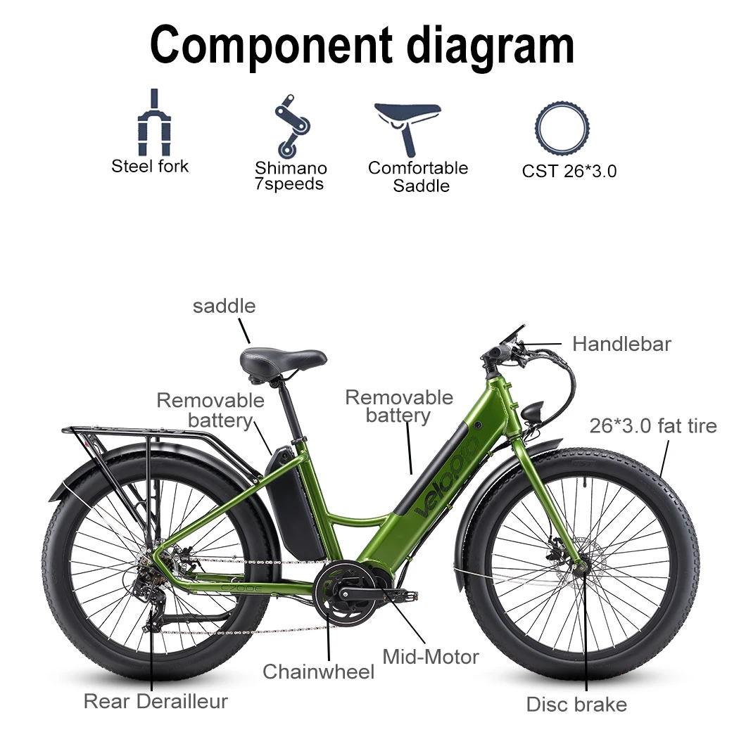 Color Customized 500W Dual Battery Fat Tire Electric Mountain Bike