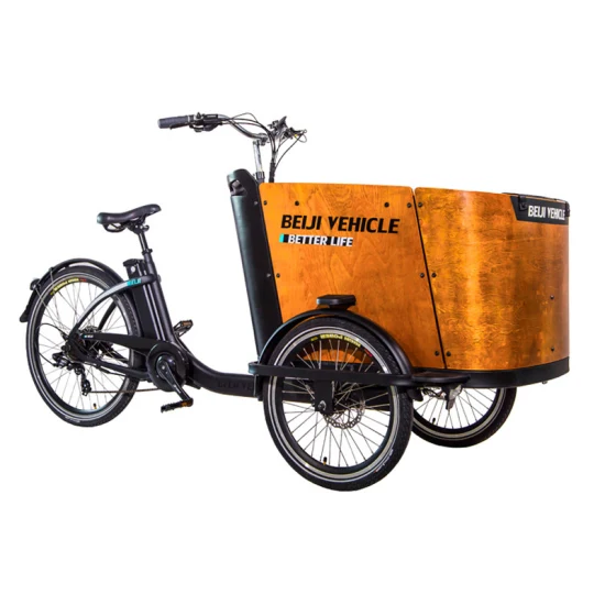 スチールフレームと防水木箱付きファミリーカーゴ三輪車、アルミ自転車フレーム、販売用3輪電動カーゴバイク
